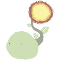 sunsprout4