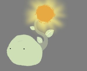 sunsprout5
